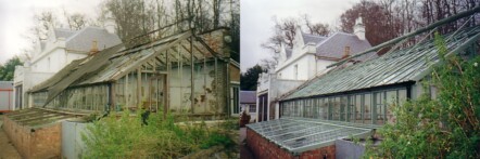 Greenhouse restoration - greenhouse repair - image 1 Greenhouse restoration - greenhouse repair - image 1