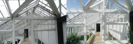 Greenhouse restoration - greenhouse repair - image 14 Greenhouse restoration - greenhouse repair - image 14