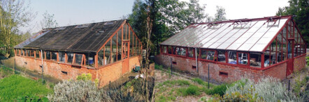 Greenhouse restoration - greenhouse repair - image 26 Greenhouse restoration - greenhouse repair - image 26
