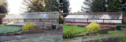 Greenhouse restoration - greenhouse repair - image 37 Greenhouse restoration - greenhouse repair - image 37