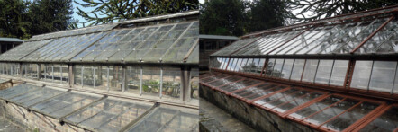 Greenhouse restoration - greenhouse repair - image 38 Greenhouse restoration - greenhouse repair - image 38