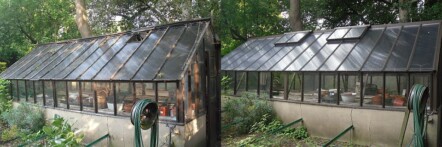 Pages Greenhouses - greenhouse restoration and repair 65