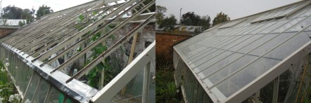 Pages Greenhouses - greenhouse restoration and repair 71