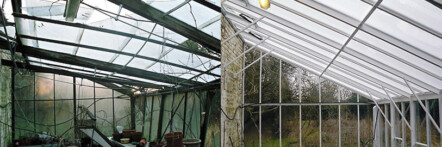 Replacement greenhouse - image 34 Replacement greenhouse - image 34