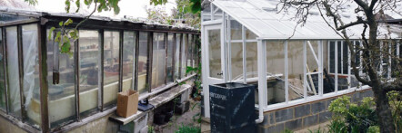 Replacement greenhouse - image 50 Replacement greenhouse - image 50