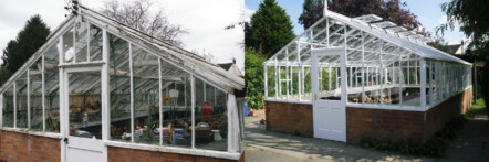 Replacement greenhouse - image 66