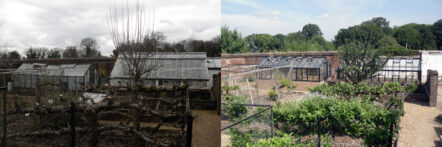 Replacement greenhouse - image 69
