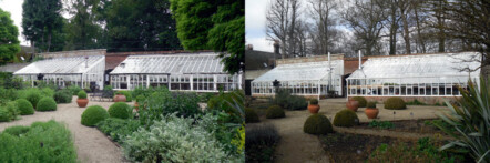 Replacement greenhouse - image 70