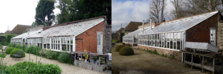 Replacement greenhouse - image 71