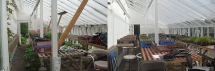 Replacement greenhouse - image 74